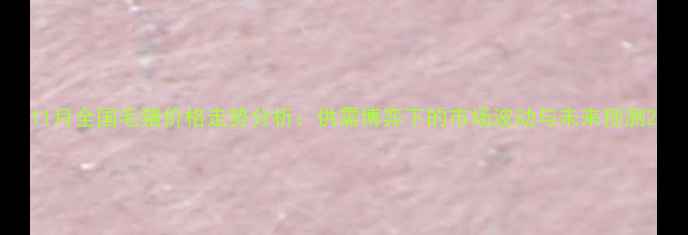 图片 11月全国毛猪价格走势分析：供需博弈下的市场波动与未来预测2