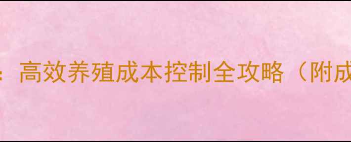 图片 281鸡饲料配方：高效养殖成本控制全攻略（附成本核算案例）1