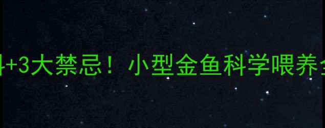图片 5种黄金饲料+3大禁忌！小型金鱼科学喂养全攻略🐟💧2