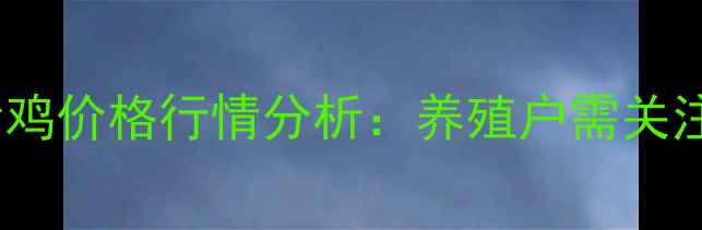 图片 6月1日山东地区活鸡价格行情分析：养殖户需关注这五大市场动态1