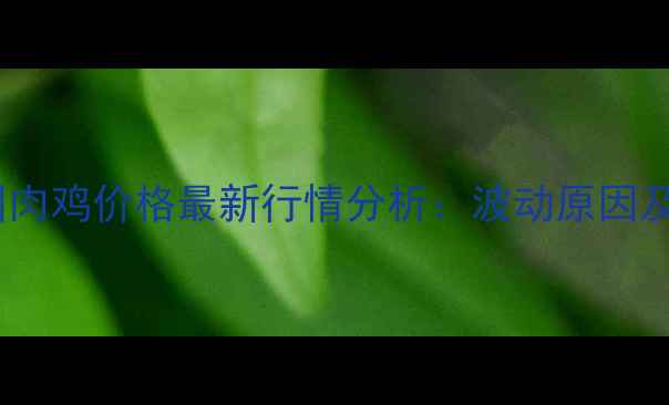 图片 6月2日全国肉鸡价格最新行情分析：波动原因及市场预测2