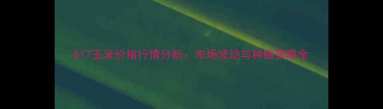 图片 817玉米价格行情分析：市场波动与种植策略全