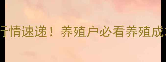 图片 8月全国苗鸡价格行情速递！养殖户必看养殖成本与市场趋势分析