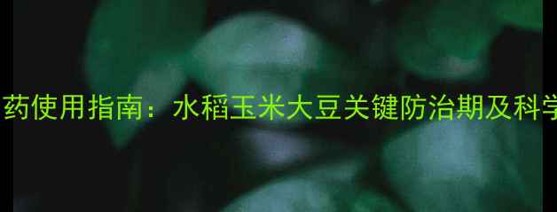 图片 8月农药使用指南：水稻玉米大豆关键防治期及科学配比