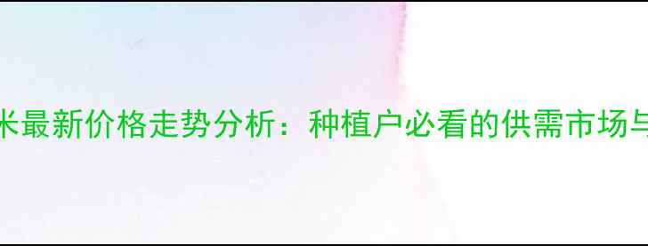 图片 8月山东玉米最新价格走势分析：种植户必看的供需市场与政策影响2