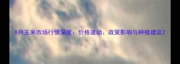 图片 8月玉米市场行情深度：价格波动、政策影响与种植建议2