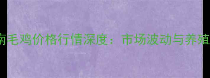 图片 9月15日河南毛鸡价格行情深度：市场波动与养殖策略全指南