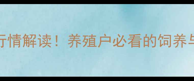 图片 9月16日淘汰蛋鸡价格最新行情解读！养殖户必看的饲养与销售策略，助你稳赚不赔1