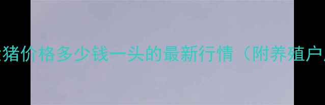 图片 9月东平县大猪价格多少钱一头的最新行情（附养殖户应对策略）2