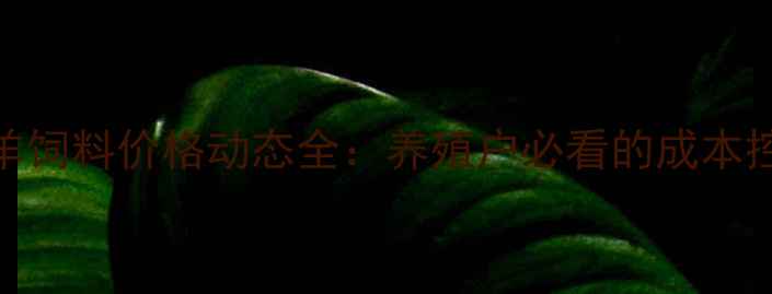 图片 9月全国羊饲料价格动态全：养殖户必看的成本控制指南1