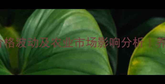 图片 9月维生素D3价格波动及农业市场影响分析｜养殖户必看指南