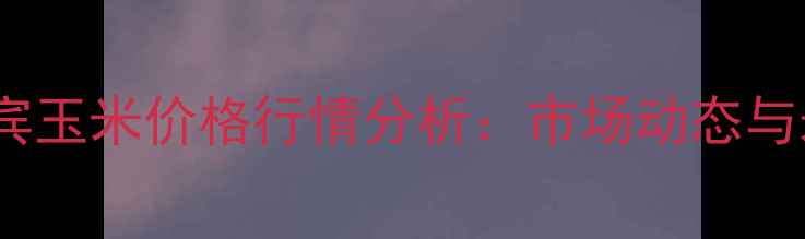 图片 X月X日四川宜宾玉米价格行情分析：市场动态与未来走势预测1