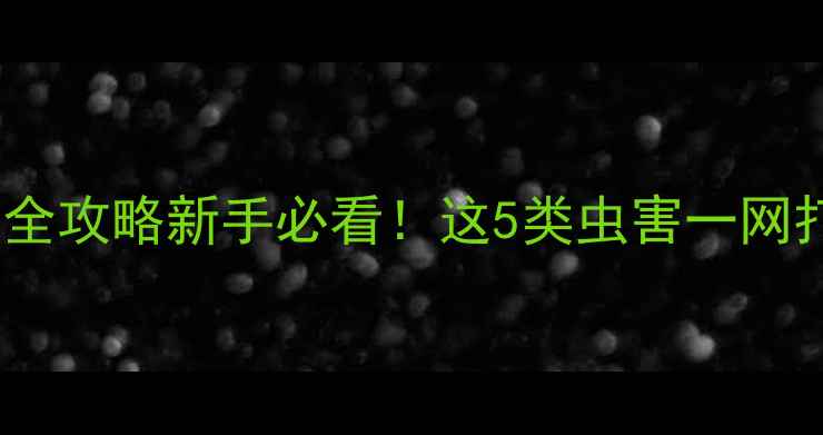 图片 ✨先正达宝剑杀虫剂全攻略新手必看！这5类虫害一网打尽+使用避坑指南🌱