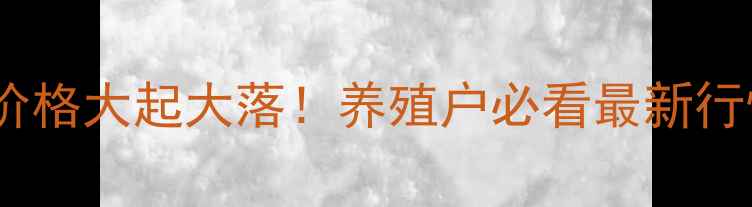 图片 ✨河北省生猪价格大起大落！养殖户必看最新行情+避坑指南🌟