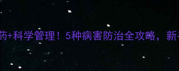 图片 ✨葡萄种植必看有机农药+科学管理！5种病害防治全攻略，新手也能养出爆甜葡萄🍇1