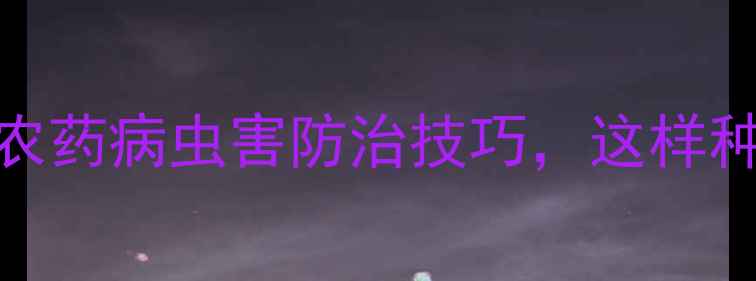 图片 ✨蒜苔种植全攻略｜零农药病虫害防治技巧，这样种蒜苔又安全又高产！✨