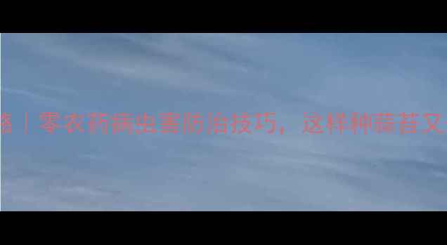 图片 ✨蒜苔种植全攻略｜零农药病虫害防治技巧，这样种蒜苔又安全又高产！✨2