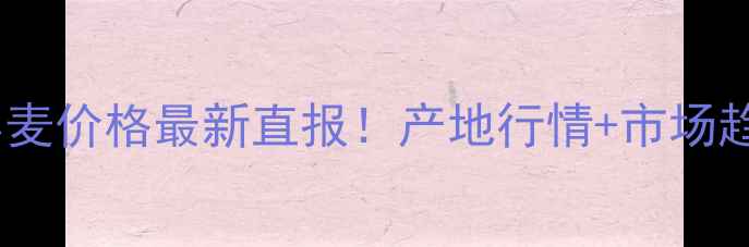 图片 ✨邯郸小麦价格最新直报！产地行情+市场趋势全🌾2