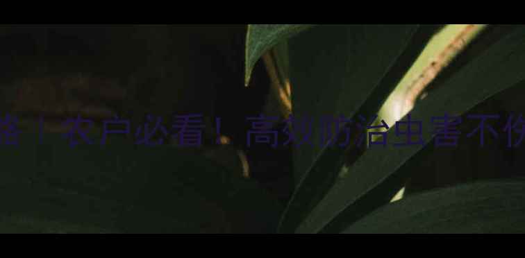 图片 三七农药使用全攻略｜农户必看！高效防治虫害不伤根的3大关键步骤1