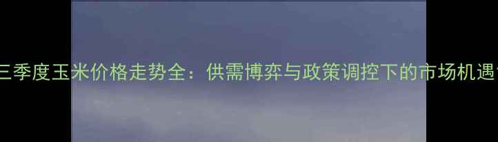 图片 三季度玉米价格走势全：供需博弈与政策调控下的市场机遇1