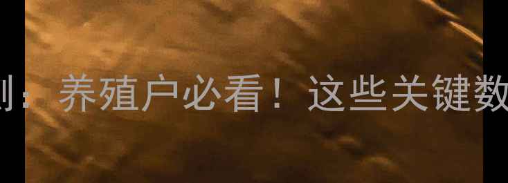 图片 三黄鸡价格行情预测：养殖户必看！这些关键数据决定了你的收益1
