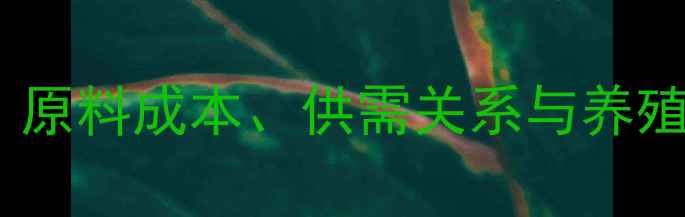 图片 上海卜蜂饲料价格波动全：原料成本、供需关系与养殖需求如何影响市场行情？2
