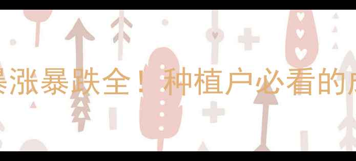 图片 东北玉米价格暴涨暴跌全！种植户必看的成本与市场趋势