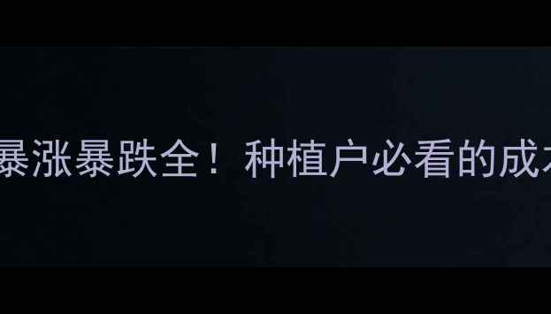 图片 东北玉米价格暴涨暴跌全！种植户必看的成本与市场趋势1