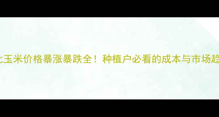 图片 东北玉米价格暴涨暴跌全！种植户必看的成本与市场趋势2