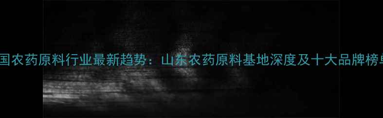 图片 中国农药原料行业最新趋势：山东农药原料基地深度及十大品牌榜单1