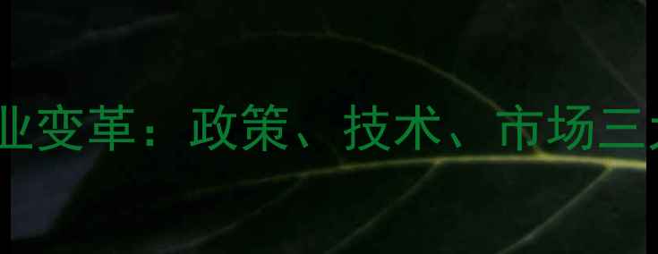 图片 中国农药行业变革：政策、技术、市场三大趋势深度1