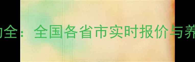 图片 中国鸡肉价格波动全：全国各省市实时报价与养殖成本深度调查1