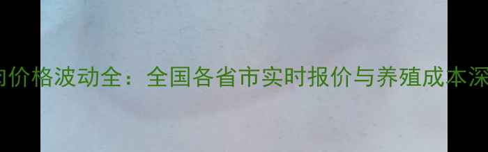 图片 中国鸡肉价格波动全：全国各省市实时报价与养殖成本深度调查2