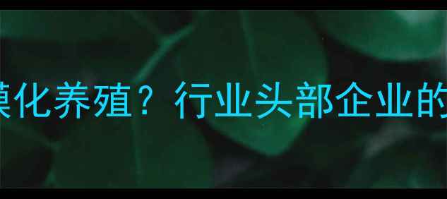 图片 中牧饲料配方如何助力规模化养殖？行业头部企业的技术升级与养殖增效方案2