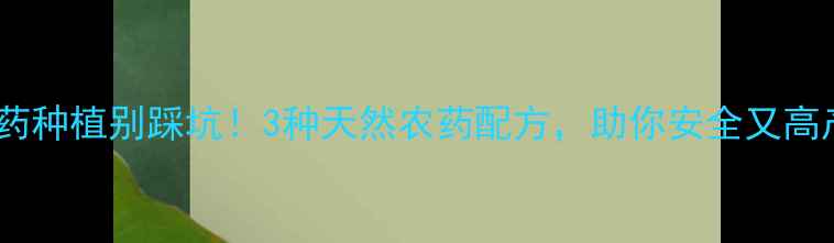 图片 中药种植别踩坑！3种天然农药配方，助你安全又高产2