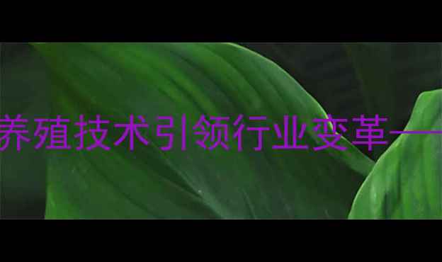 图片 临沂瑞泰饲料公司创新升级：绿色养殖技术引领行业变革——饲料企业如何抓住乡村振兴机遇1