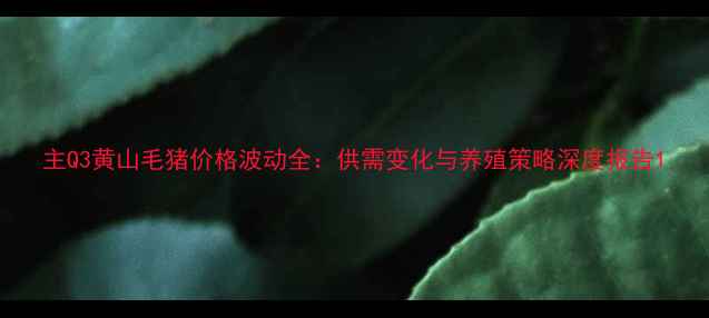 图片 主Q3黄山毛猪价格波动全：供需变化与养殖策略深度报告1