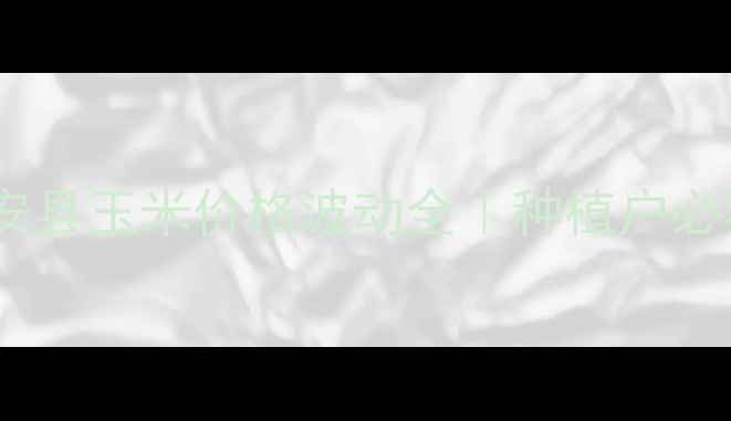 图片 主黑龙江依安县玉米价格波动全｜种植户必看行情指南1