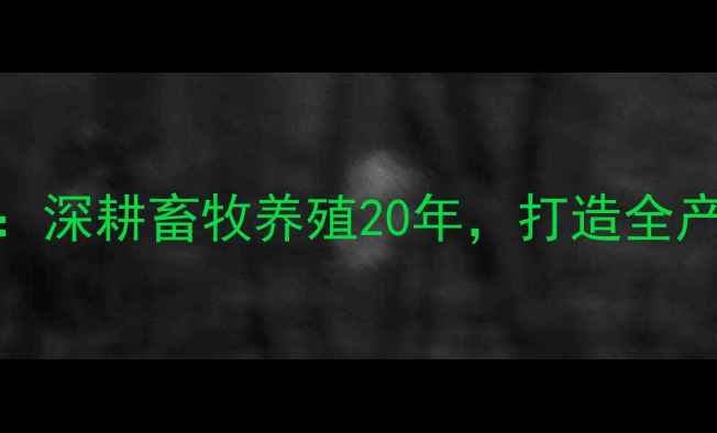 图片 久久和牧饲料山东：深耕畜牧养殖20年，打造全产业链营养解决方案