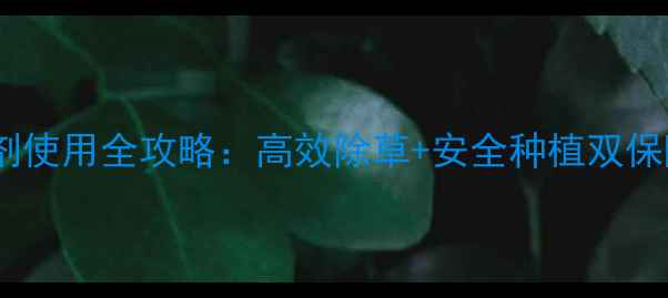 图片 久易农业玉米除草剂使用全攻略：高效除草+安全种植双保障，助农增收指南1