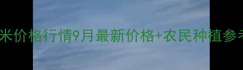 图片 九江玉米价格行情9月最新价格+农民种植参考指南1