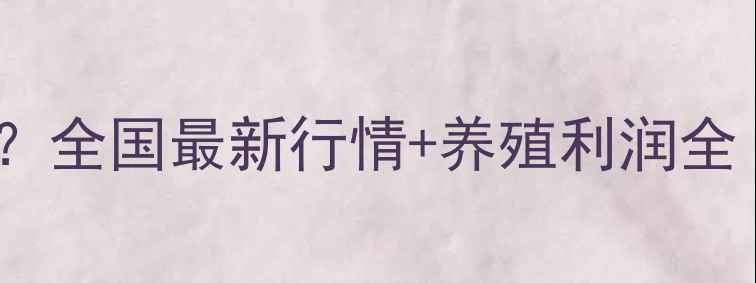 图片 乳牛价格多少钱一头？全国最新行情+养殖利润全（附地区价目表）🐄1
