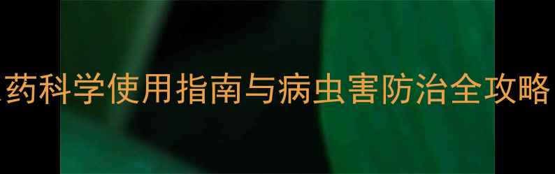 图片 乾县农业资讯网：农药科学使用指南与病虫害防治全攻略（附政策补贴信息）