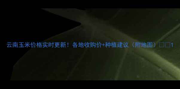 图片 云南玉米价格实时更新！各地收购价+种植建议（附地图）🌾📊1