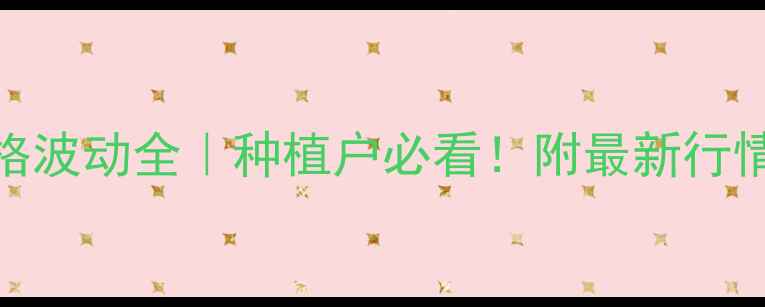 图片 云南玉米价格波动全｜种植户必看！附最新行情+销售攻略2