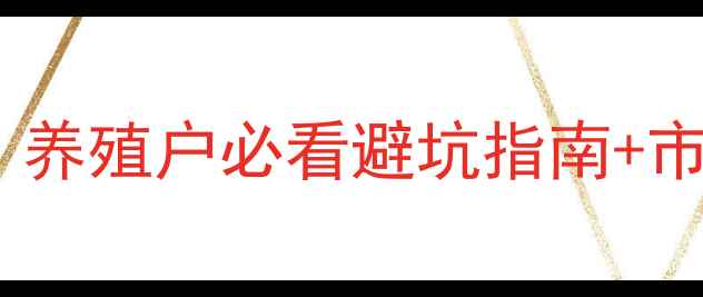 图片 云南生猪价格全｜养殖户必看避坑指南+市场波动深层逻辑1