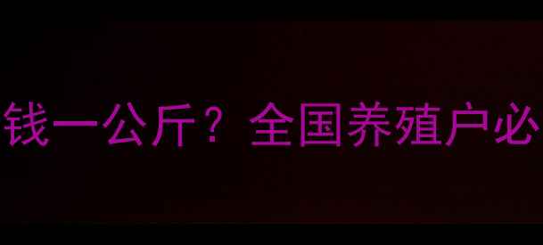 图片 今日淘汰母猪价格多少钱一公斤？全国养殖户必看市场分析及应对策略