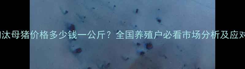 图片 今日淘汰母猪价格多少钱一公斤？全国养殖户必看市场分析及应对策略2