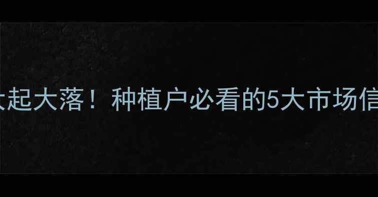 图片 今日速递河北玉米价格大起大落！种植户必看的5大市场信号+未来趋势预测🌾💰📈