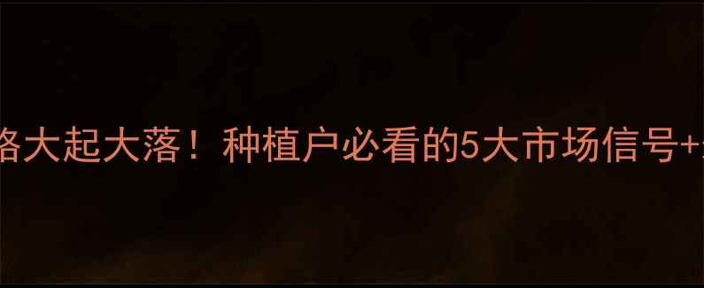 图片 今日速递河北玉米价格大起大落！种植户必看的5大市场信号+未来趋势预测🌾💰📈1